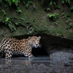 WhatsApp Image 2025-12-13 at 11.35.31 AM