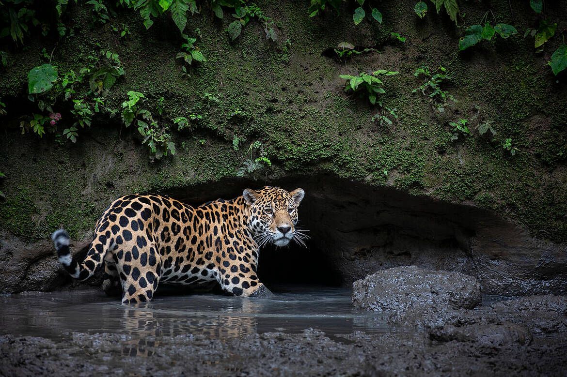 WhatsApp Image 2025-12-13 at 11.35.31 AM